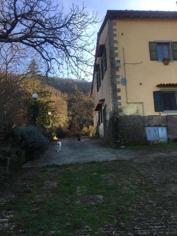 Welcome In Toscana Polcanto Exterior foto